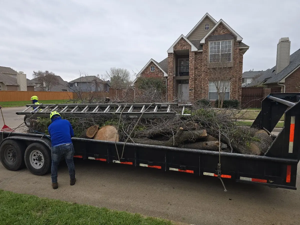 Expert Tree Fertilization with proper safety equipment in Dunbar